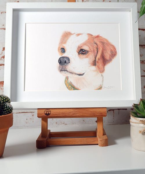 Buntstiftzeichnung Hundeportrait Auge zeichnen Realistic Animals Tiere realistisch zeichnen